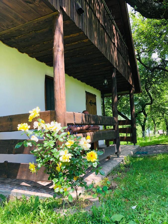 Villa Еко Дім З Соломи Solochyn Exterior foto