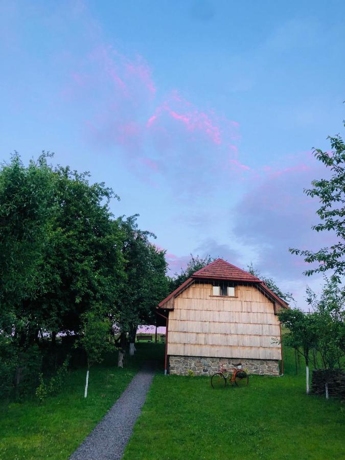 Villa Еко Дім З Соломи Solochyn Exterior foto